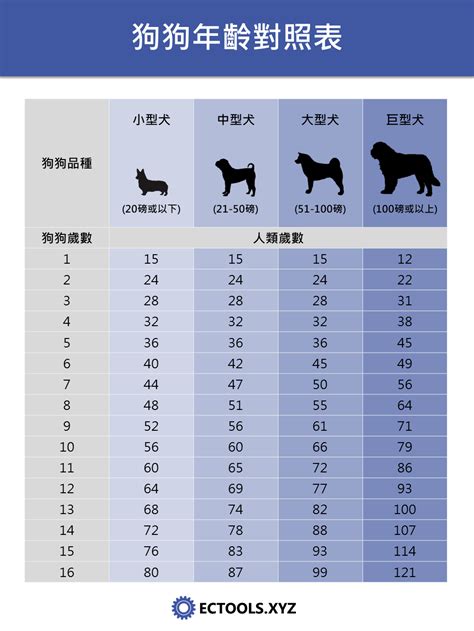 狗 15歲|狗狗1歲不等於人類7歲？獸醫教你新的科學換算公式｜ 